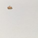 thumbnail_IMG_0184