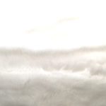 IMG_7674