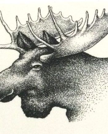 Applikation Tygmärke Älg 12-taggare